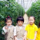 민경농장 이미지