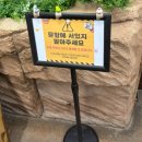 청수유치원 | 인천실내동물원 쥬벅스 ㅣ 아기동물 체험 가능한 실내동물원 인천 데이트 후기