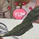 백화떡집