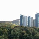 목동11단지아파트