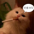 하이예스주 | 음악극 <브로크백 마운틴> 후기