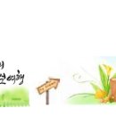 산나물 도시락 코스 이미지