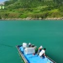 다모아민박 이미지