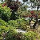 대지부속 이미지