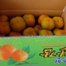 지리산 산골농원 이미지