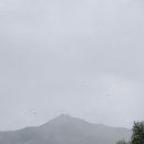 제우스농장 이미지