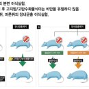 그냥,빵집 이미지