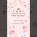오늘의 '신앙 명언'(264강) 코리 텐 붐(Corrie ten Boom) 이미지