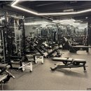 마이티핏 이미지