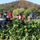 자원농장 이미지