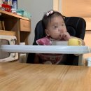 도이도이 하우스 이미지