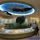 철새박물관 이미지