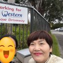 캐드캠치과기공소 | 뉴질랜드 치과기공소 Western Crown &amp; Bridge Laboratory Ltd