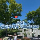 서천 무료경로식당 네이버블로그