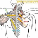 짐베이스 헬스&PT 이미지