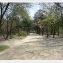 단골숯불갈비 이미지