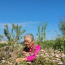 해보농장 이미지