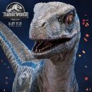 베이비프라임 이미지