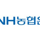NH농협은행 기업분석 - 농협은행 자기소개서.자소서,면접 취업준비를 위한 정보