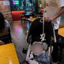 란콰이펑누들 현대시티몰 가든파이브지점 | 현대시티몰 가든파이브 푸드코트 란콰이펑누들 내돈내산 후기