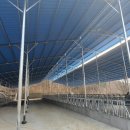 우사축사 이미지