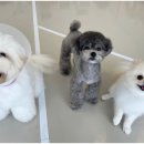 하울팟 한남점 이미지