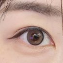 (주)더위드글로벌 | [서울_신논현] 젤리빔 더스크 브라운, 오티카비아 491 위드렌즈 신논현점