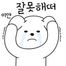 하루마카롱