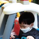 트니트니 이미지