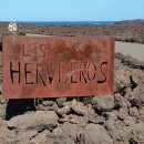 란사로테 이미지