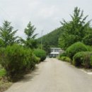 청송중부동분교 이미지