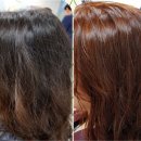 큐사랑염색 이미지