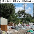 청년피자 속초점 | 내 인생 이벤트가 과해