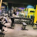 투제이 휘트니스 이미지