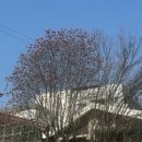 우이 | 망원카페 뷰 좋은 망원 대형카페 Uig 우이그 후기