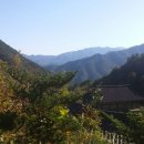 성원사 Daum카페