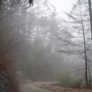 인월이용원 네이버블로그