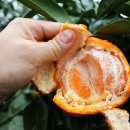 우천농장 이미지