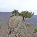 2015년 12월 2일 제111차 밀양 백운산 가지산 쌀바위 중봉 기둥바위를 다녀와서 이미지