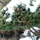 함평자연생태공원 이미지