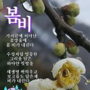 스마트플러스