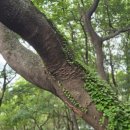 북대구세무서 앞 버스정류장 이미지