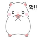 라파사우나 이미지