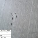 충남댁 이미지