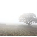 원정리마을회관 이미지