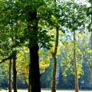 광주가톨릭대학교 이미지