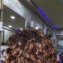 향기나라 이미지