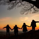 사랑나무 이미지