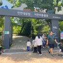 남문지구(제6어린이공원) | 5살 아기랑 갈만한 공원!! 인천대공원!! 인천대공원 어린이동물원까지!! 다녀온 후기!! 하이브리드는...