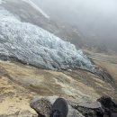 올레 베르데 이미지